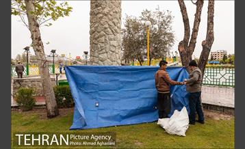 روز طبیعت بارانی در بوستان رازی 6