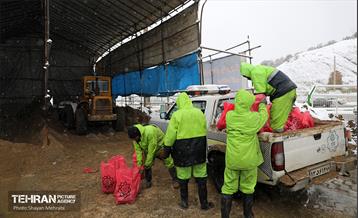 عملیات برف‌روبی در پایتخت 24