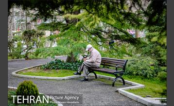 بوستان ملت 12