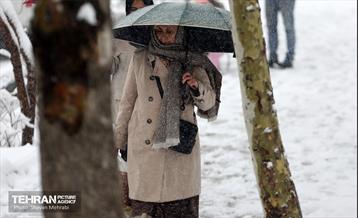 بارش برف در تهران 9