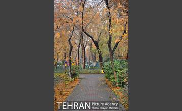 پاییز در پارک شهر 33