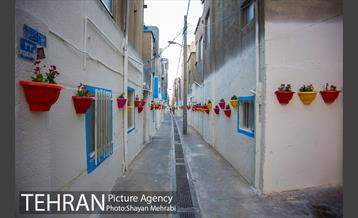 کوچه امیدی رنگ نوروز گرفت 3