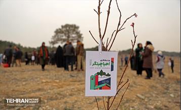 کاشت 2000 نهال مثمر در بوستان جنگلی چیتگر 16