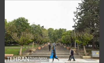 بوستان نیاوران 26