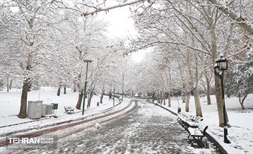 صبح برفی بوستان ملت 11