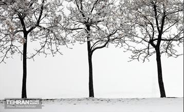 بارش برف در تهران 4