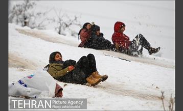 تفریحات برفی مردم پایتخت 7