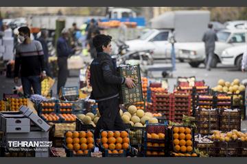 بازار میوه و تره بار مرکزی تهران در آستانه نوروز 49