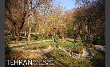 پاییز باغ ایرانی 25