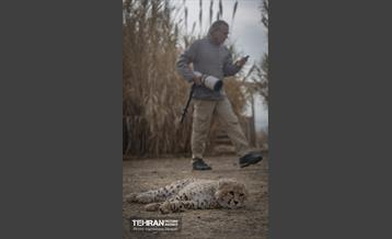 پیروز؛ پسر ایران 30