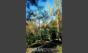 شهرک صدرا 44