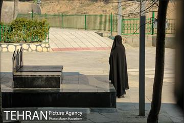 آستان مقدس امامزادگان عینعلی و زینعلی 12