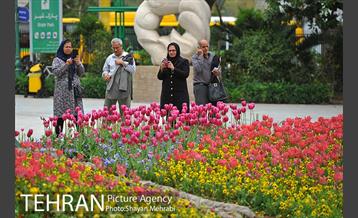 رویش گل لاله در پارک شهر 28