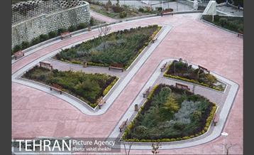 شب های آرام تهران 1