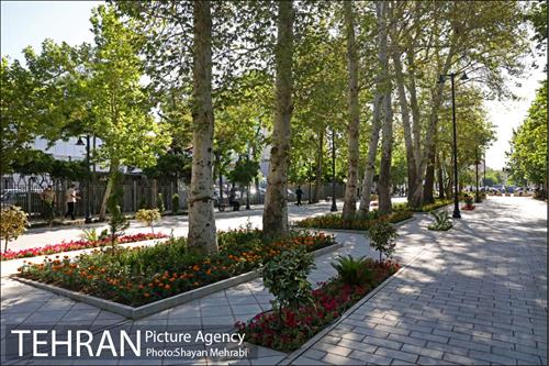 گذر پیاده راه استاد شهریار 5