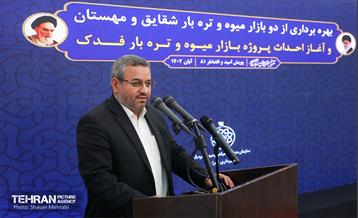 بهره‌برداری از پروژه‌های خدمات شهری در منطقه ۱۷ 34