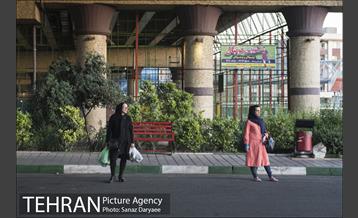 میدان شقایق‎ 18