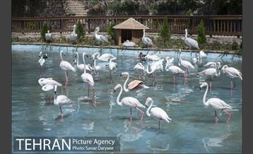 تور بازدید خبرنگاران از فاز دوم باغ پرندگان‎ 24