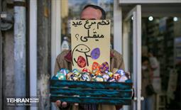 شوق رسیدن به بهار