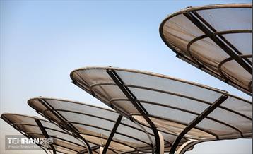 به وقت خدمت؛ باغ‌راه حضرت زهرا(س) محدوده آیت الله سعیدی 16