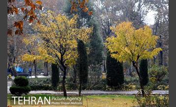 پاییز در پارک شهر 27