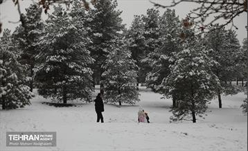 روز برفی تهران - 2 33