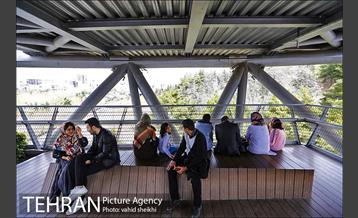 پل طبیعت در تعطیلات نوروز 27