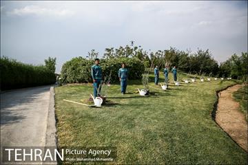 آئین درخت کاری به مناسبت تولد گاندی 11