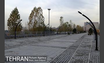 گذرفرهنگی تاراز 6