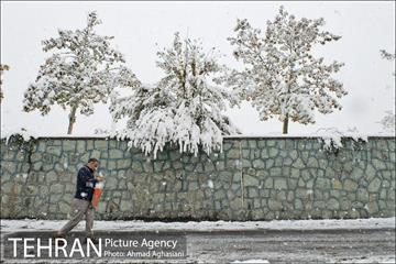 بارش اولین برف پاییزی در تهران 25