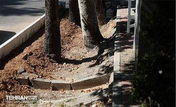 نشست خبری شهردار منطقه 1 7