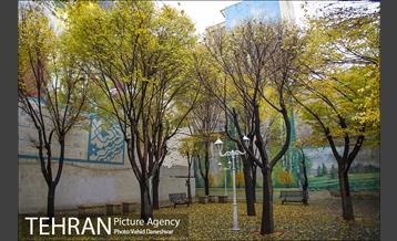 پاییز زیبای پایتخت- 4 11