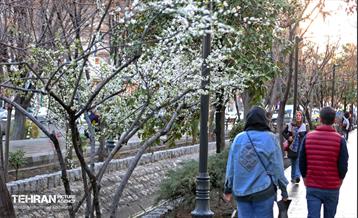 استقبال از بهار - 5 6