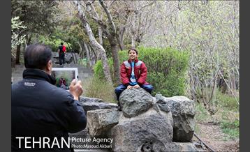 بوستان جمشیدیه در نوروز  18