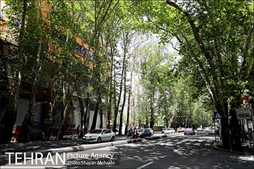 ولیعصر(عج)؛ خیابانی به درازای خاورمیانه 6