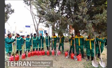 مراسم کاشت نهال در هفته منابع طبیعی (درخت فرهنگ و هنر) 15