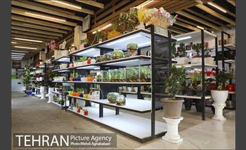 مرکز گل و گیاه ایوار 13