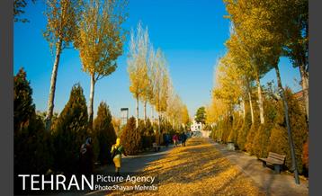 پاییز باغ موزه قصر 32