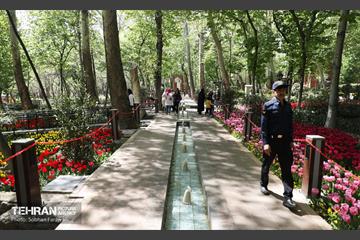باغ ایرانی میزبان لاله‌ها 7
