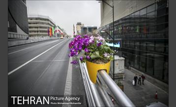 استقبال از بهار در خیابانهای تهران 9