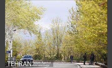 روز طبیعت متفاوت در شهر تهران 2 2