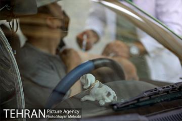 آغاز واکسیناسیون رانندگان تاکسی تهران 46