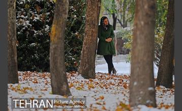 برف پاییزی در تهران 14