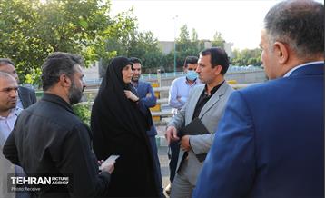 بازدید مدیرعامل سازمان میادین میوه و تره بار شهرداری تهران از ظرفیت های منطقه هشت 6
