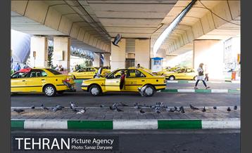 پایانه تاکسیرانی پل سید خندان 24