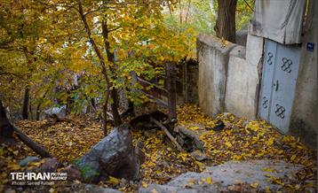 سمفونی رنگ های پاییزی - دربند 18