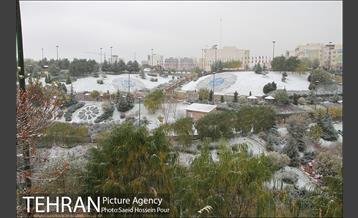 تهران سفید پوش شد 17