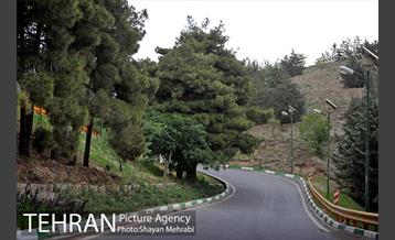 پارک جنگلی لویزان‎ 17