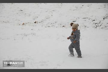 روز برفی تهران - 2 11
