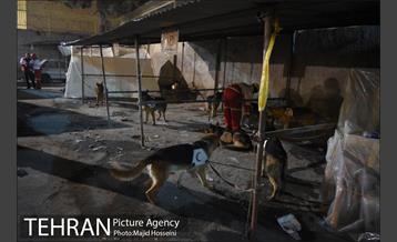 امداد رسانی شبانه در حادثه پلاسکو 2